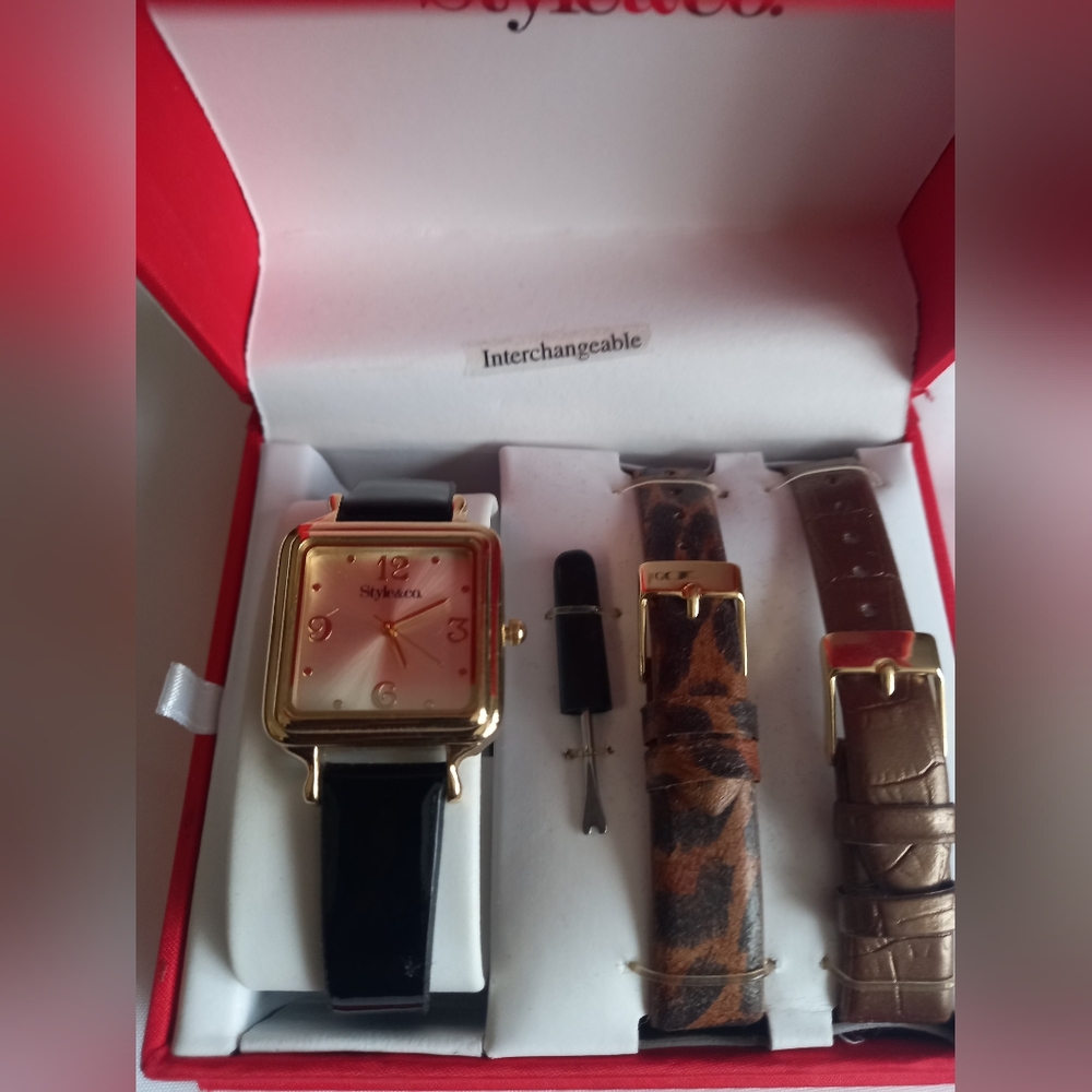 NWOT Style & Co watch and band set